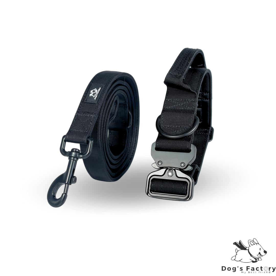 Set Collare E Guinzaglio In Pelle Per Cani Piccoli - Elegante, Regolabile E Resistente - Foto 2