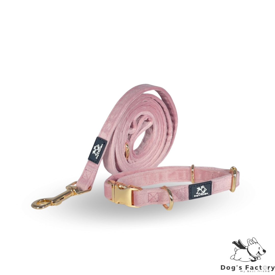 MIA | Set collare & guinzaglio - Velluto Rosa