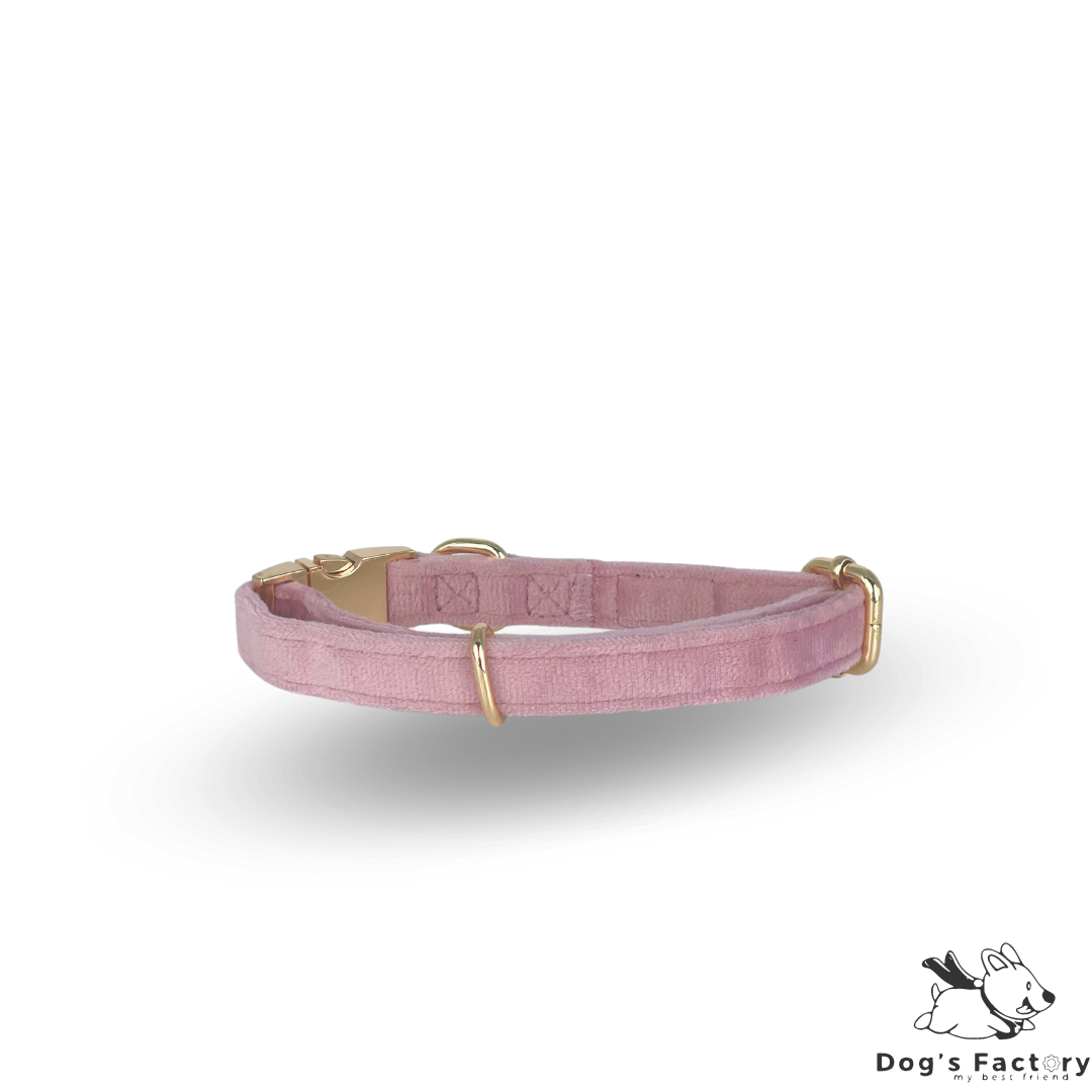 MIA | Set collare & guinzaglio - Velluto Rosa