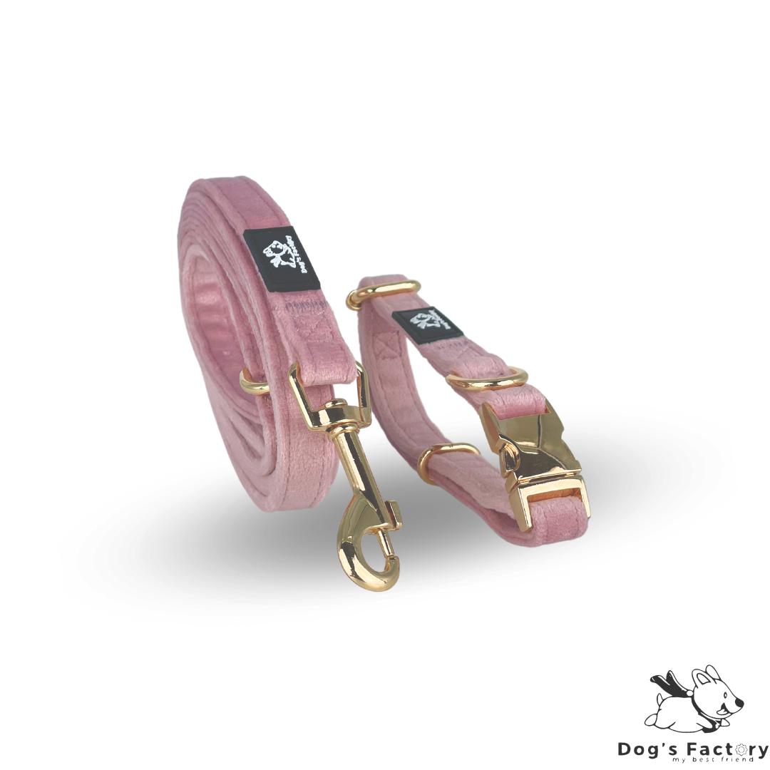 MIA | Set collare & guinzaglio - Velluto Rosa