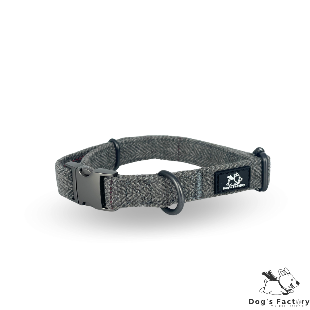OLIVER | Set collare & guinzaglio - Tweed Grigio Chiaro