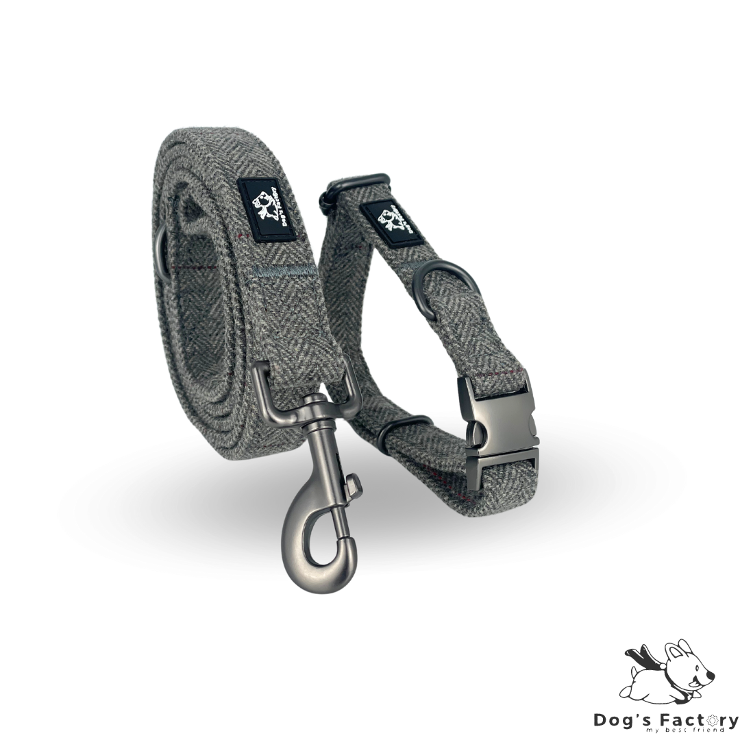 OLIVER | Set collare & guinzaglio - Tweed Grigio Chiaro