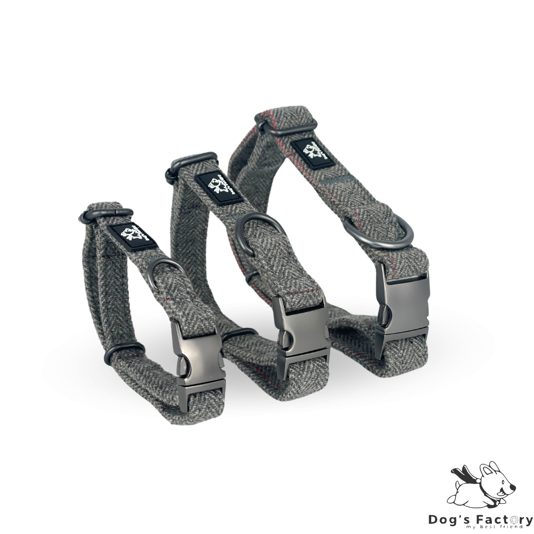 OLIVER | Set collare & guinzaglio - Tweed Grigio Chiaro
